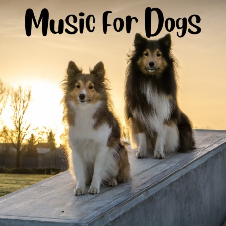 Pampered Paws ft. Music For Dogs Peace, Relaxing Puppy Music & Calm Pets Music Academy | Boomplay Music