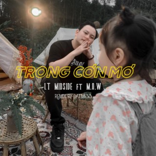 Trong Cơn Mơ (Đạt Miss Remix) ft. Đạt Miss & MOW lyrics | Boomplay Music