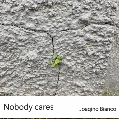 Nobody cares