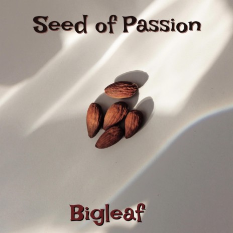 Seed of Passion | Boomplay Music