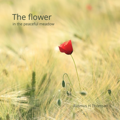 The flower