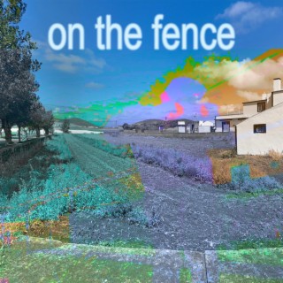 on the fence