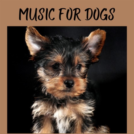Background Music For Your Dog ft. Music For Dogs Peace, Calm Pets Music Academy & Relaxing Puppy Music | Boomplay Music