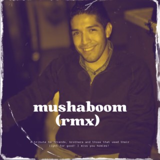 Mushaboom (remix)