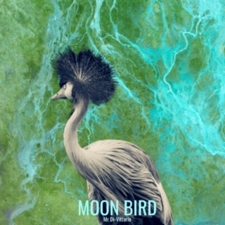 Moon Bird