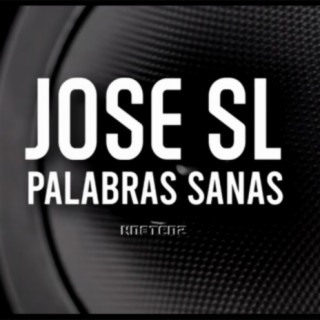 Palabras Sanas