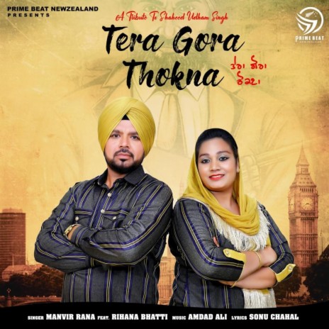 TERA GORA THOKNA | Boomplay Music
