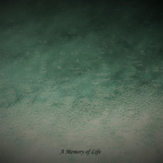A Memory of Life