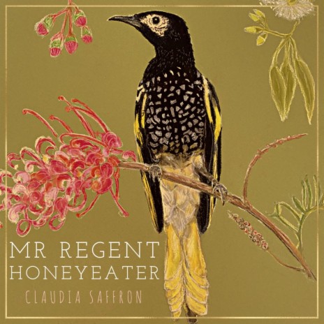 Mr Regent Honeyeater | Boomplay Music