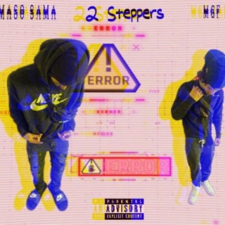 2 Steppers