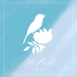 Little Birds lyrics | Boomplay Music