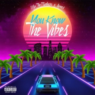 You Know the Vibes ft. James lyrics | Boomplay Music