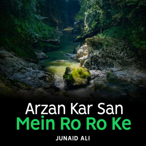 Arzan Kar San Mein Ro Ro Ke | Boomplay Music