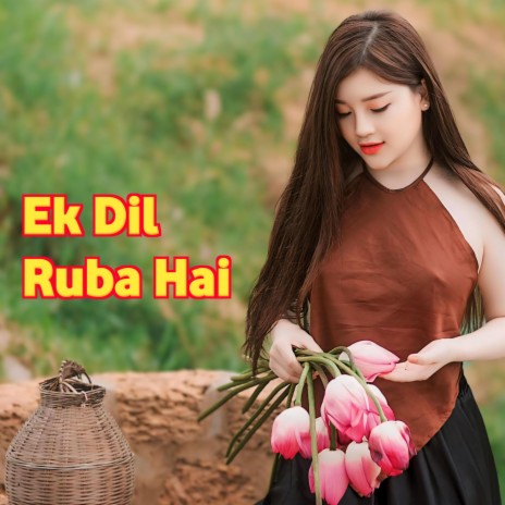 Ek Dil Ruba Hai Hindi Song | Boomplay Music