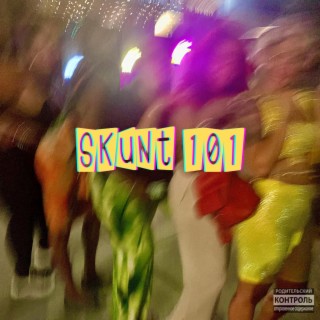 SKUNT 101 lyrics | Boomplay Music