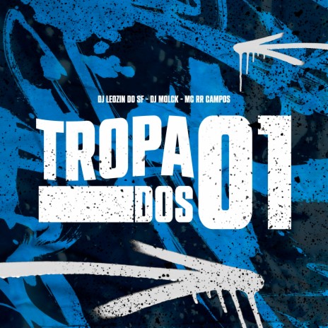Tropa dos 01 ft. MC RR do Campos & DJ Leozin do SF | Boomplay Music