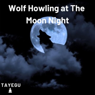 Wolf Howling at The Moon Night 1 Hour Forest Crickets Owls and Frogs Relaxing Nature Ambient Yoga Meditation Sound For Sleeping or Study