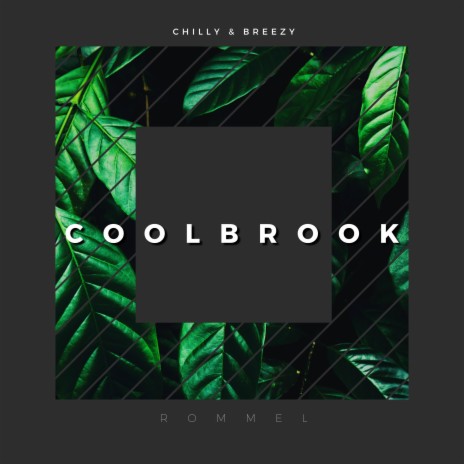 Coolbrook | Boomplay Music