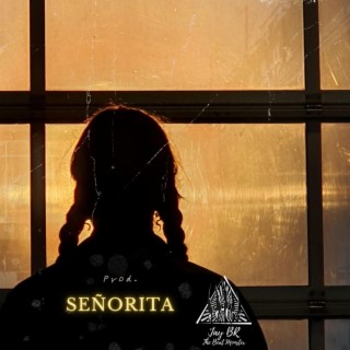 Señorita (Dance Hall Beat)