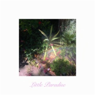 Little Paradise lyrics | Boomplay Music