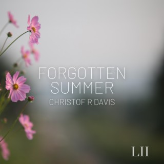 Forgotten Summer