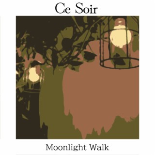 Moonlight Walk