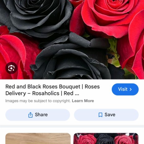 Black & red roses$$$$