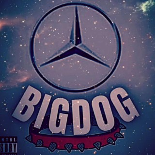 630C BiG DoG