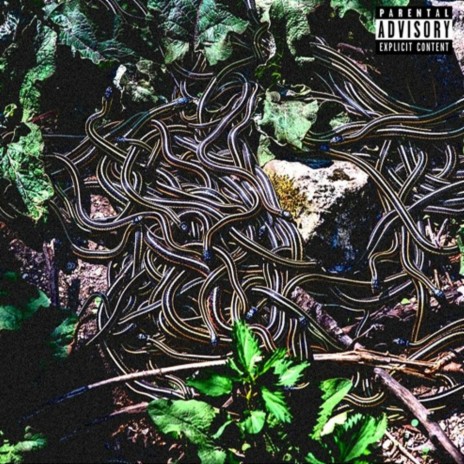 THE SNAKES DEN | Boomplay Music