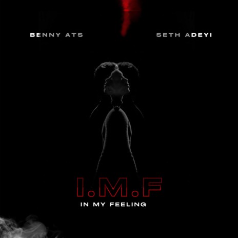 I.M.F (In My Feelings) ft. Seth Adeyi | Boomplay Music