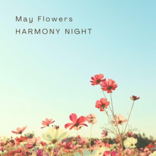 May Flowers