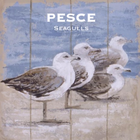 Seagulls | Boomplay Music