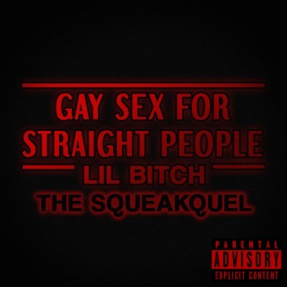 Gay Sex for Straight People: The Squeakquel