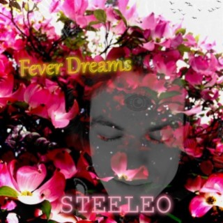 Steeleo