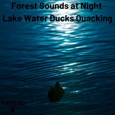 Forest Sounds at Night Lake Water Ducks Quacking 1 Hour Crickets Relaxing Nature Ambient Yoga Meditation Sound For Sleeping or Study | Boomplay Music