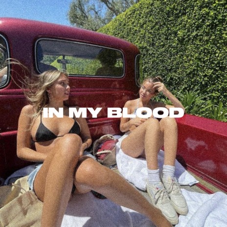 In My Blood | Boomplay Music