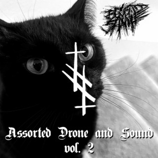 Assorted Drone and Sound vol. 2