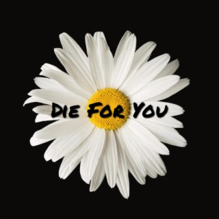 Die For You lyrics | Boomplay Music
