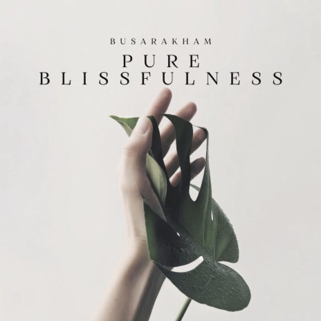 Pure Blissfulness | Boomplay Music