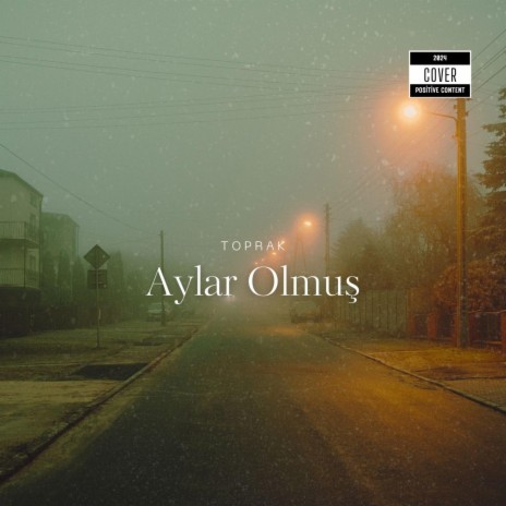 Aylar Olmuş | Boomplay Music