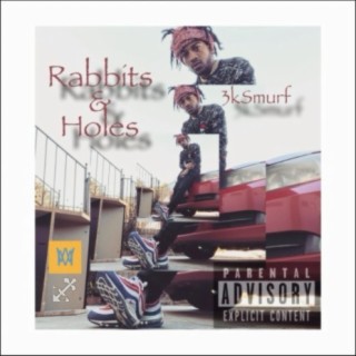 Rabbits & Holes