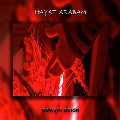 Hayat Arabam | Boomplay Music