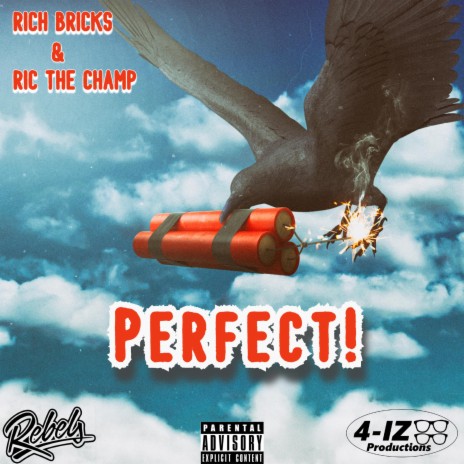 Perfect! ft. Ric The Champ & Rich Bricks | Boomplay Music
