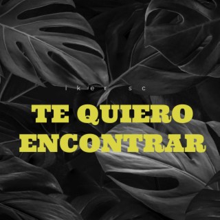 Te Quiero Encontrar