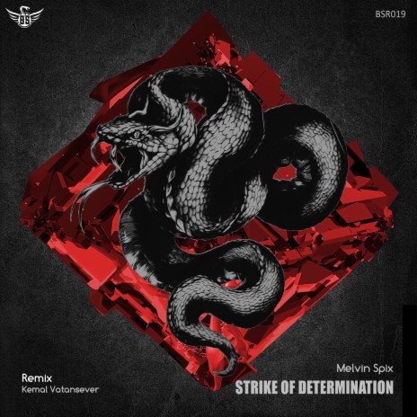 Strike of Determination | Boomplay Music