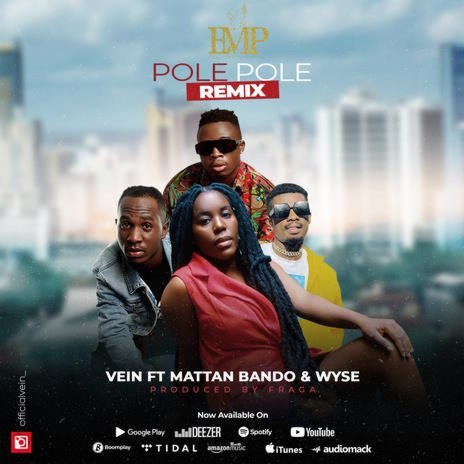 Pole Pole Remix ft Mattan, Bando MC, Wyse | Boomplay Music