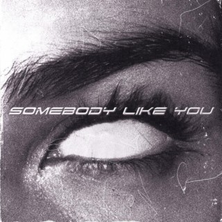 Somebody Like You