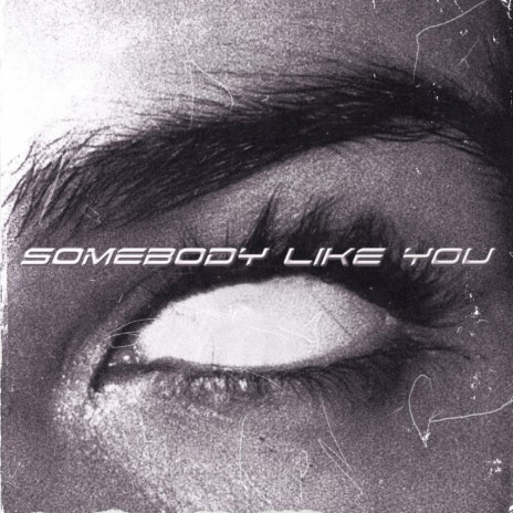 Somebody Like You | Boomplay Music