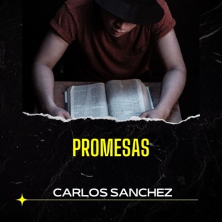 Promesas