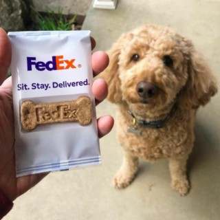 blessed (fed ex)